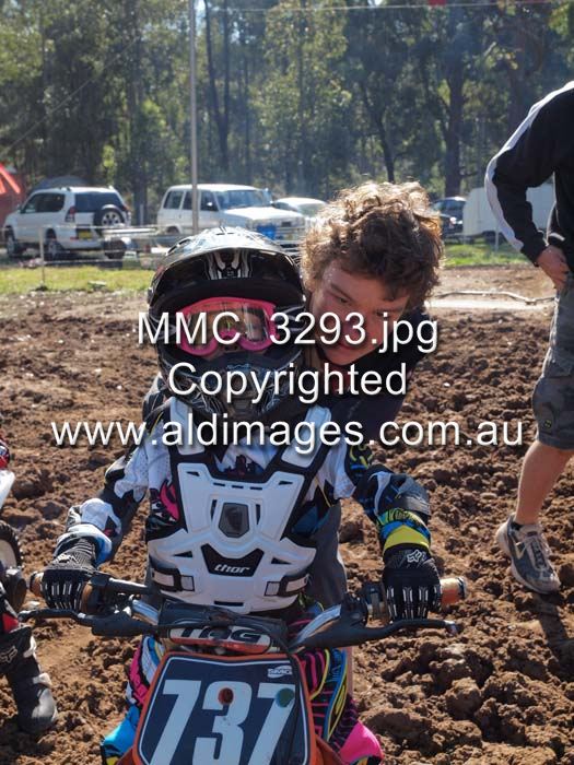 503x677 pixels (98K)